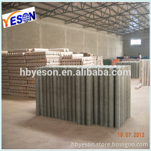 welded wire mesh trellis panel fencing